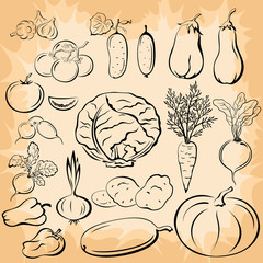 Vegetables Pictograms Set