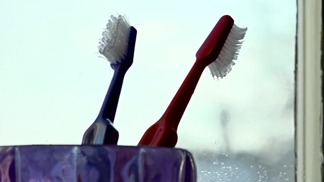 Worn toothbrushes in a plastic tooth glass.