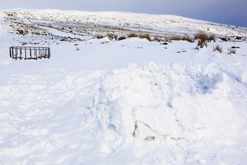 Snow shelter made from ice blocks in Snowdonia National Park Ogwen Valley Conwy North Wales UK Britain