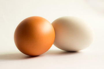 eggs isolated on white background