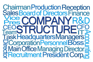 Fototapeta premium Company Structure Word Cloud