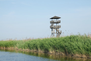 Wetland park to watch tower
