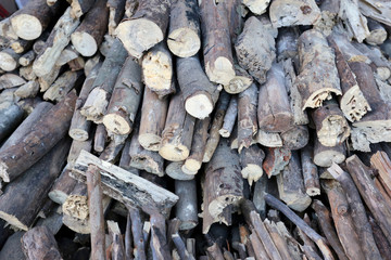 pile of firewood made from the tree of dead.