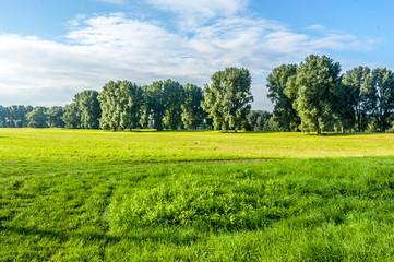 3795 Niederrhein - Dormagen Rheinfeld bei Sonnenaufgang