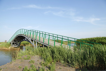 Obraz premium The wood bridge in wetland park