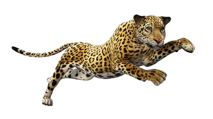 Foto op Plexiglas Jaguar leaping, wild animal isolated on white background © freestyle_images