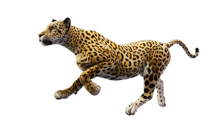 Jaguar running, wild cat isolated on white background © freestyle_images