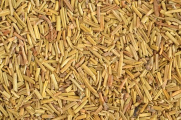 Rosemary spice detail macro texture background