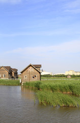 Wetland park of wooden houses