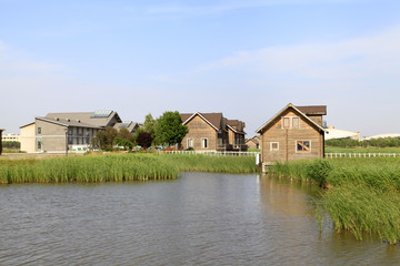Wetland park of wooden houses