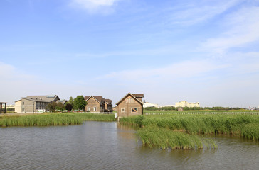 Fototapeta na wymiar Wetland park of wooden houses