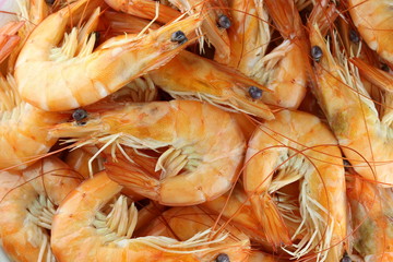 Close-up grilled shrimp.