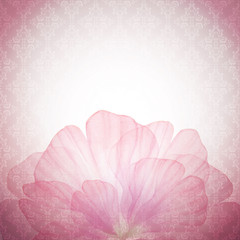 Vectorized watercolor drawing.