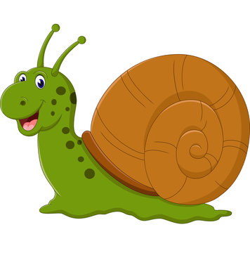 illustration of Cute snail cartoon