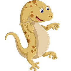 Cute lizard posing isolated on white background 