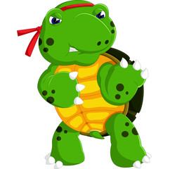 Cartoon funny turtle isolated on white background