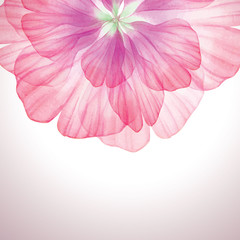 Vectorized watercolor drawing.
