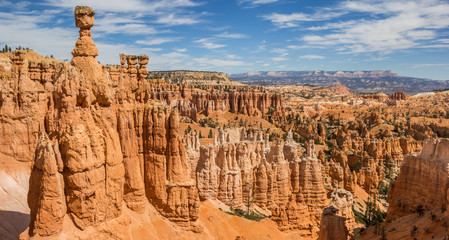 Hoodoos in the Amphitheater in Bryce Canyon