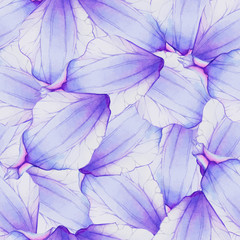 Watercolor Seamless pattern with Purple flower petal