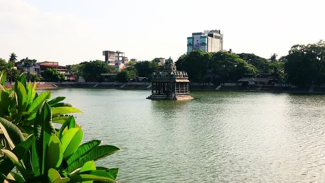 Locked-on shot of a temple in a pond, Kapaleeshwarar Temple, Mylapore, Chennai, Tamil Nadu, India