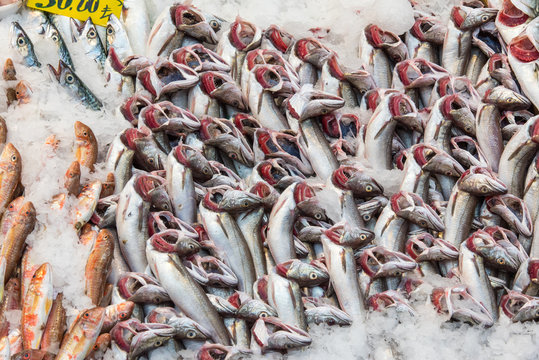 Fresh fish at a market in Istanbul, Turkey