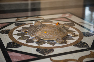 Tortuga para ritual hinduista en el suelo. Mumbai, India. 