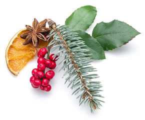 European Holly, anise star and fur-tree branch white background.