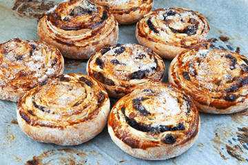 Freshly baked sugar cookies