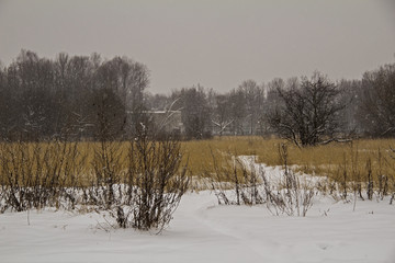 Frost winter landscape field dry grass field. Snowfall. Russia.