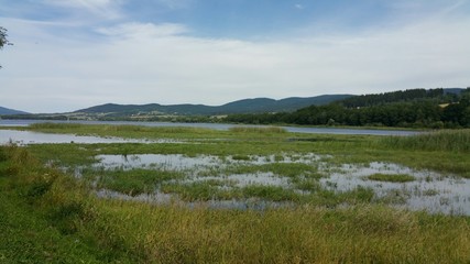 Überschwemmtes Seeufer