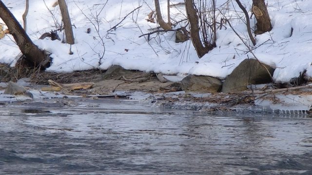 rivi&egrave;re en hiver