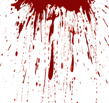 Blood Splashed White Background