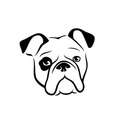 Bulldog 
