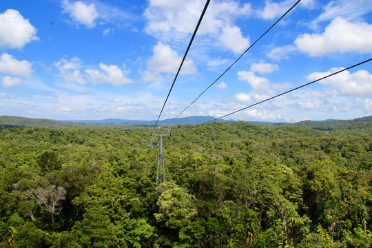 Daintree Nationalpark, fahrt mit der Skyrail Seilbahn.