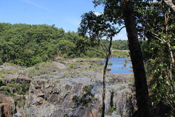 Daintree Nationalpark, fahrt mit der Skyrail Seilbahn.