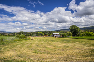 Countryside View in Summer Sun