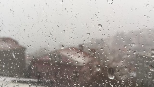 rain drops on window