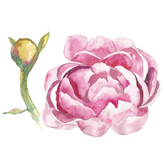 Watercolor flower card