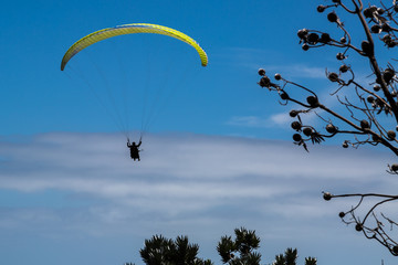 Freedom in the sky
In Cape Town you can jump off Lion's Head  for a tandem flight
