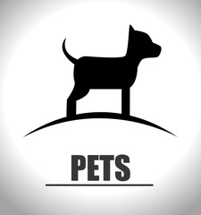 Pets and animals