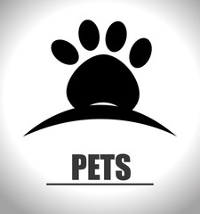 Pets and animals