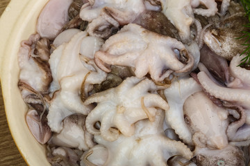 Raw baby octopus