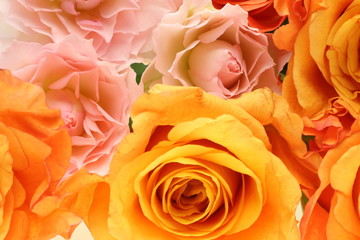 薔薇