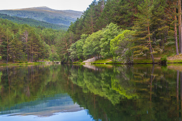 Fototapeta na wymiar Beautiful mountain lake in the forest