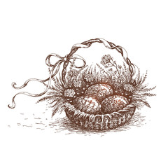 Easter basket sketch.