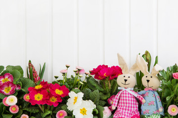 Ostern. Dekoration mit Osterhasen und Blumen zum Frühling als Grußkarte zum Osterfest