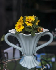 yellow primrose in a white antique vase on the antiques market