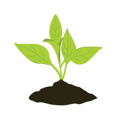 Plant seedling icon