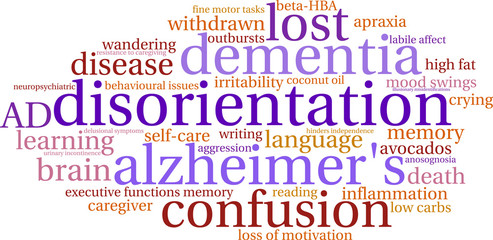 Disorientation Word Cloud