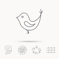 Bird with beak icon. Social media concept sign.